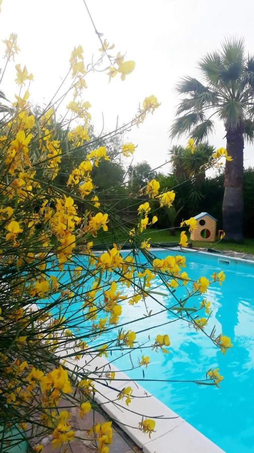 Bed and Breakfast La Ginestra Trani Exterior foto